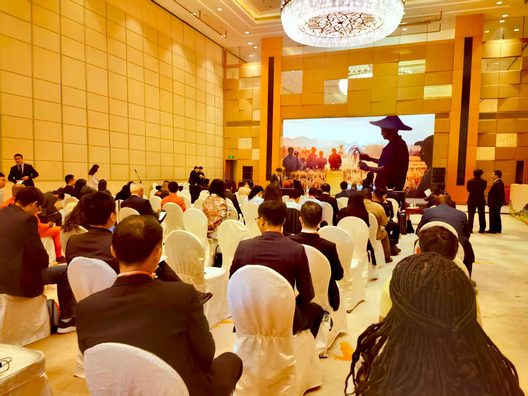 1757643903898202.jpg 1757643903898202.jpg